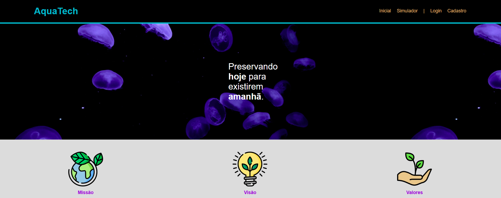 Portfolio-Image